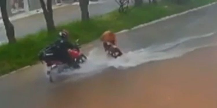 Vídeo: mulher é arrastada em rua alagada na Zona Leste e homens tentam salvá-la 