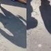 Vídeo: traficantes brigam e deixam corpo de “presente de Natal” na rua em Manaus