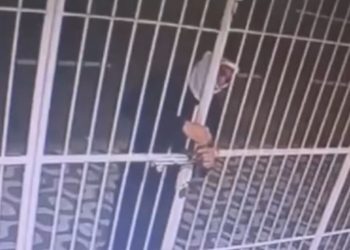 Vídeo: Trio é preso por furto em clínica na avenida Joaquim Nabuco, avaliado em R$ 300 mil