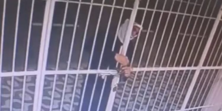 Vídeo: Trio é preso por furto em clínica na avenida Joaquim Nabuco, avaliado em R$ 300 mil