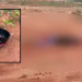 Homem é encontrado morto com o rosto desfigurado a ‘capacetadas’ e tiros em Manaus