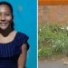 Polícia investiga se cadáver no lençol é de menina desaparecida