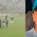 Vídeo: raio cai dentro de campo e mata jogador no gramado