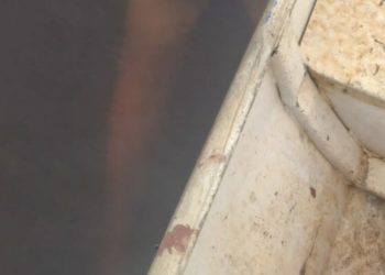 Chocante: veja cadáver de mulher que boiou no Porto do São Raimundo