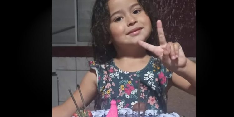 Menina de 4 anos escorrega em pedra, cai no rio e desaparece: ‘amorosa, gostava de desenhar’