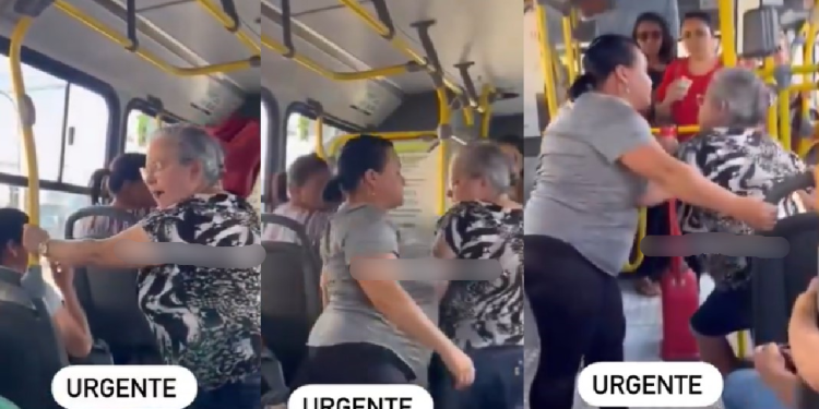 Vídeo: ‘As véia brigando agora’, diz passageiro ao flagrar idosas quase saindo no tapa dentro de ônibus