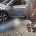 Vídeo: ‘Braço direito’ de ex-PM, ‘Xirú’ é assassinado a tiros em estacionamento de shopping