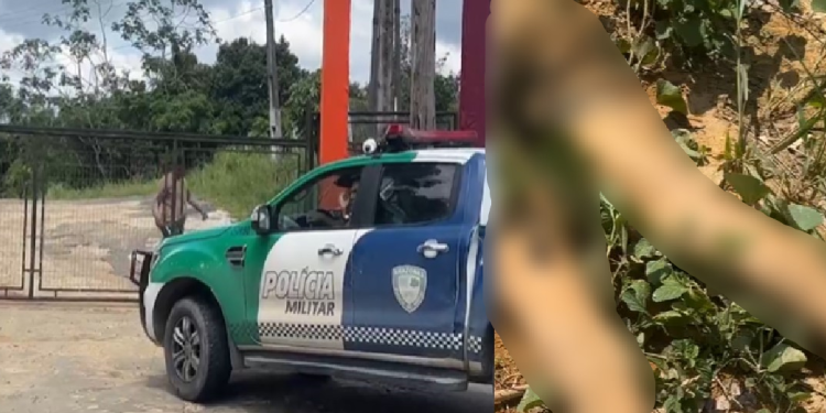Vídeo: Com muitas ‘ripadas’ nas costas, homem é encontrado morto atrás de forró no Tarumã