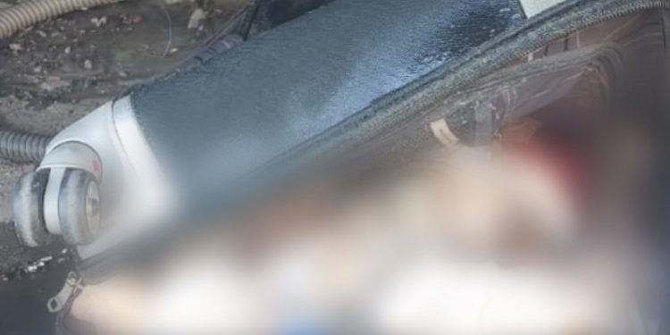 Cabeça degolada com gorro de Papai Noel é encontrada no Porto de Manaus