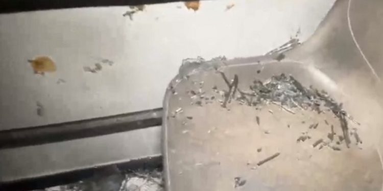 Em Manaus, criminosos disparam tiros na linha 448, roubam passageiros e fazem ameaças