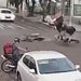 Porrada: vídeo mostra entregadores batendo de frente e indo pelos ares com motos