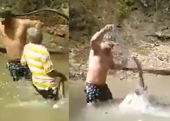 Vídeo: pescador leva choque ao tocar em Poraquê da Amazônia e desmaia no Pará 