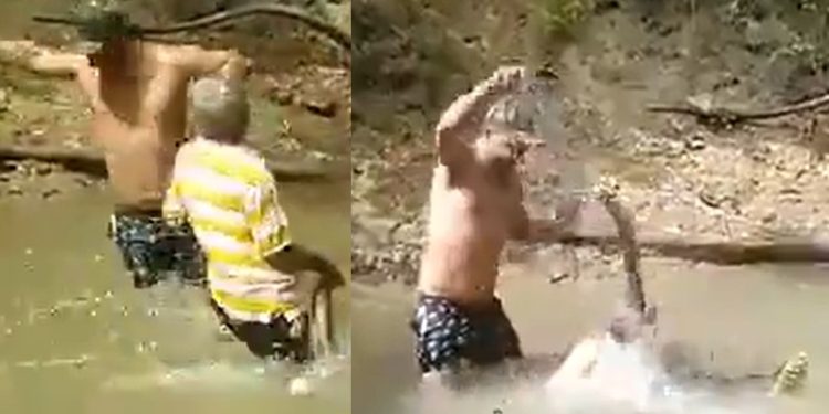 Vídeo: pescador leva choque ao tocar em Poraquê da Amazônia e desmaia no Pará