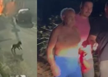 Vídeo: vizinho se irrita com cocô de cachorro e coloca fogo em sargento da Marinha