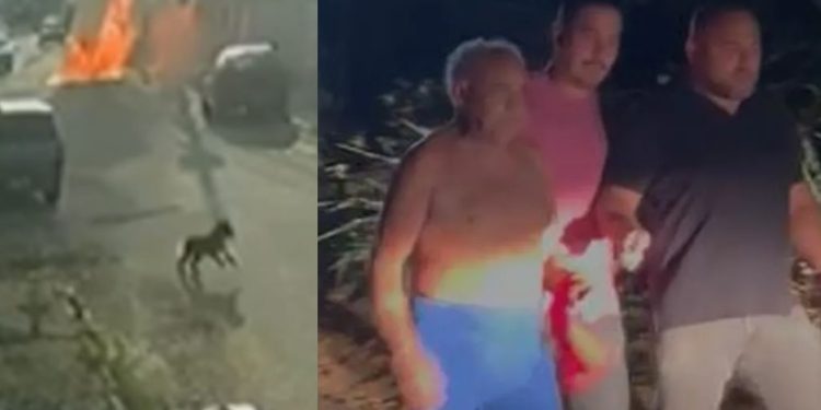 Vídeo: vizinho se irrita com cocô de cachorro e coloca fogo em sargento da Marinha