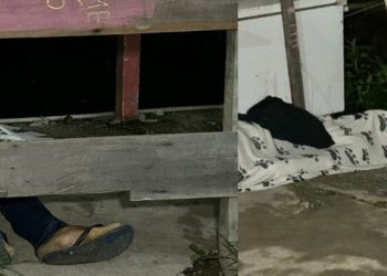 Cinco pistoleiros invadem beco e executam dois jovens em Manaus