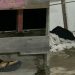 Cinco pistoleiros invadem beco e executam dois jovens em Manaus