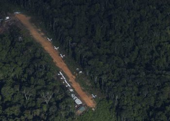 Garimpo e desnutrição voltam a crescer em território de Yanomamis