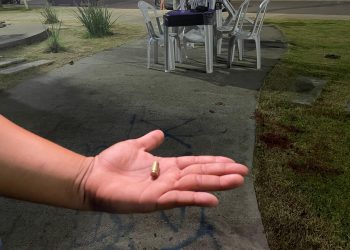 Um morre e outro fica ferido após tiros em praça no Cidade Nova