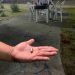 Um morre e outro fica ferido após tiros em praça no Cidade Nova