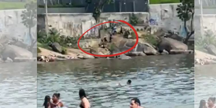 O último banho: “Adolescente vai a praia e morre a t1r0s (vídeo)