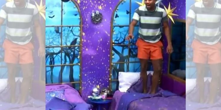 Davi afina a voz e pede ajuda para cunhã do Garantido matar barata: “tenho medo”