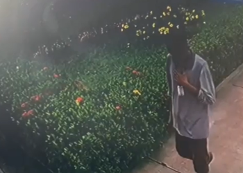 Vídeo: Sede do partido PL em Manaus é alvo de criminoso pela quarta vez com novo furto