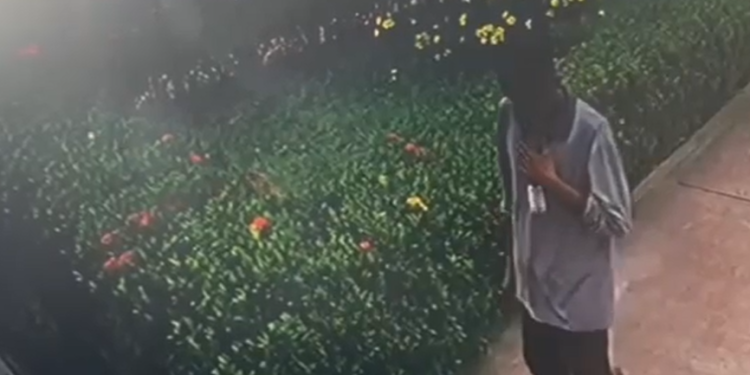 Vídeo: Sede do partido PL em Manaus é alvo de criminoso pela quarta vez com novo furto