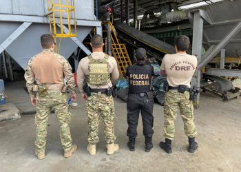 PF transforma em fumaça drogas apreendidas no AM