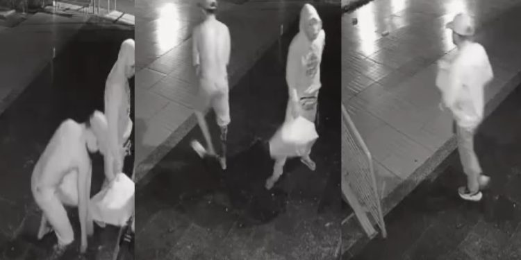 Vídeo: bandidos invadem loja de madrugada e fazem a limpa em Manaus