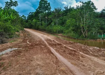 EUA e Alemanha proíbem Brasil de usar Fundo Amazônia para asfaltar BR-319