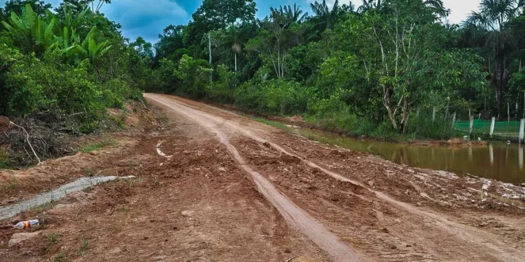 EUA e Alemanha proíbem Brasil de usar Fundo Amazônia para asfaltar BR-319