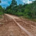 EUA e Alemanha proíbem Brasil de usar Fundo Amazônia para asfaltar BR-319
