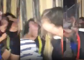 Vídeo: paraenses entram em confronto após descobrirem que estão pegando no mesmo cipó