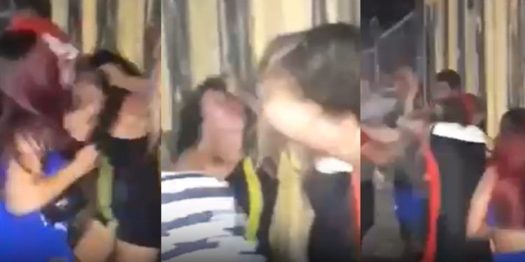 Vídeo: paraenses entram em confronto após descobrirem que estão pegando no mesmo cipó