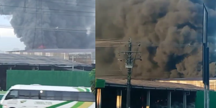 Vídeos: Empresa no Distrito Industrial pega fogo e suspeita é que incêndio foi criminoso