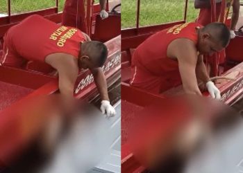 Veja momento em que bombeiro puxa perna de corpo esquartejado em Manaus