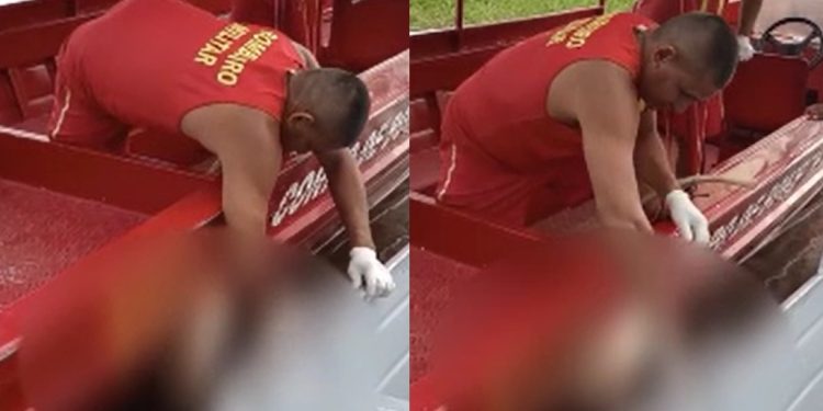 Veja momento em que bombeiro puxa perna de corpo esquartejado em Manaus
