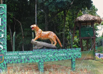 CIGS tem concurso de pintura para comemorar 60 anos com premiações
