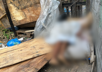 Mãe acorda com som de tiros e encontra o filho assassinado em terreno baldio em Manaus