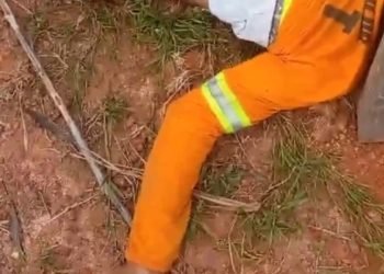 Vídeo: homem sobe no poste para furtar fios, leva choque e morre todo roxo no Amazonas