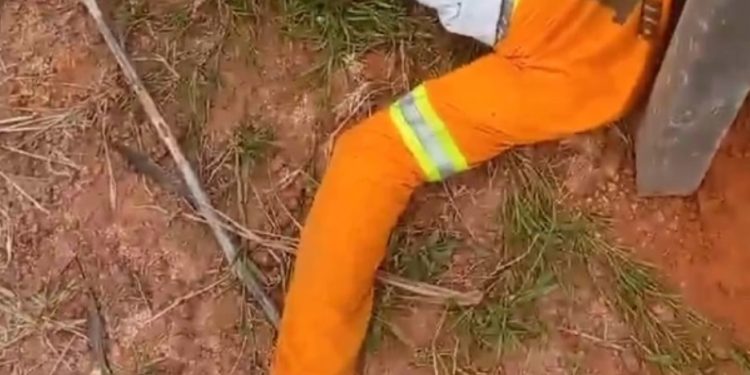 Vídeo: homem sobe no poste para furtar fios, leva choque e morre todo roxo no Amazonas
