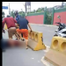 Vídeo: Com arma falsa e faca, dupla assalta banca de café em Manaus e um deles acaba ‘merendado’