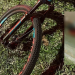 Minutos após sofrer tentativa de assalto, ciclista é atropelado e morto em Manaus