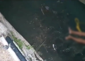 Vídeo: Após ser torturado pelo ‘Tribunal do Crime’, homem cai morto em igarapé na Compensa