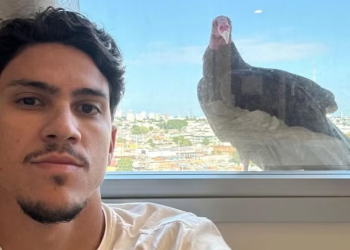 Em Manaus para jogo, Pedro do Flamengo acorda com urubu na janela: ‘Olha quem me acordou’