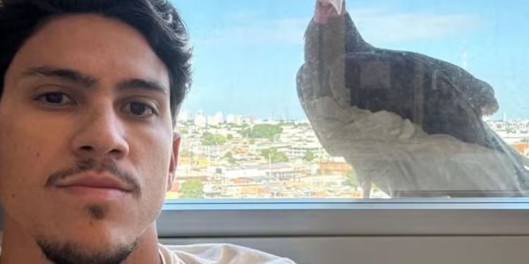 Em Manaus para jogo, Pedro do Flamengo acorda com urubu na janela: ‘Olha quem me acordou’