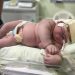 Bebê que que viralizou por nascer com 7,4 quilos completa 1 ano