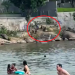 Vídeo mostra quarteto executando a tiros jovem de 15 anos no meio de praia lotada; veja