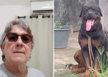 Vídeos: empresário tenta dar comida a seu Rottweiler e acaba morto com a cabeça dilacerada